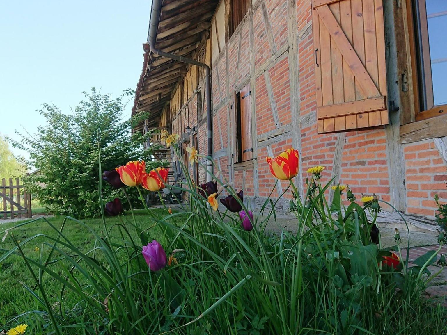 A La Poularde B&B Curciat-Dongalon Cameră foto