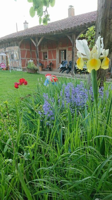 A La Poularde B&B Curciat-Dongalon Cameră foto